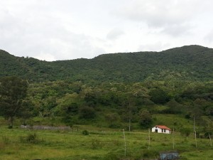 Fazenda Ribeirão 