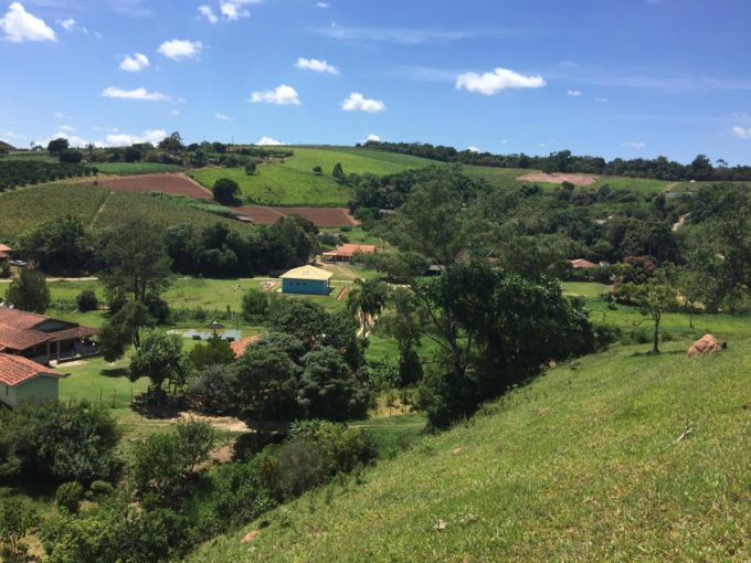 Imagem de paisagem rural, com plantação de uvas ao fundo e casas rurais